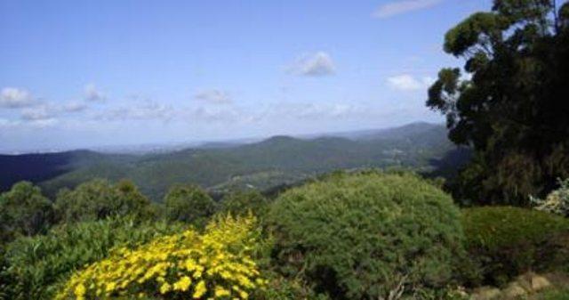 Bed and Breakfast Hillside Country Retreat à Gold Coast Extérieur photo